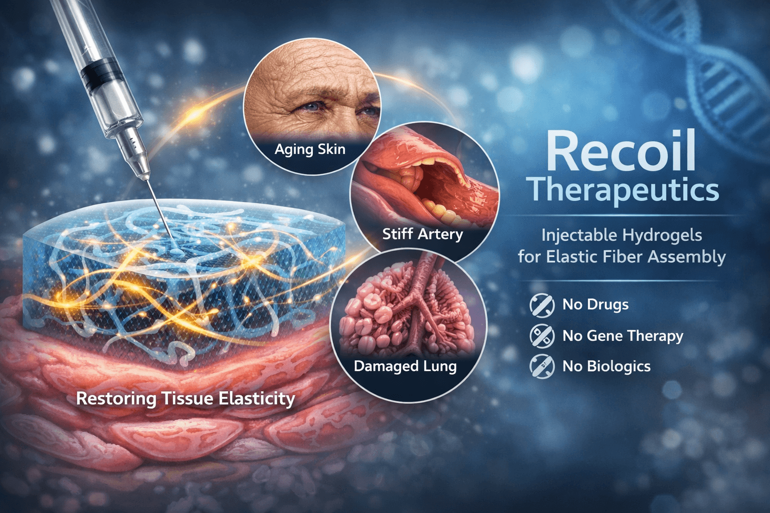 Recoil Therapeutics - Injectable Hydrogels for Elastic Fiber Assembly